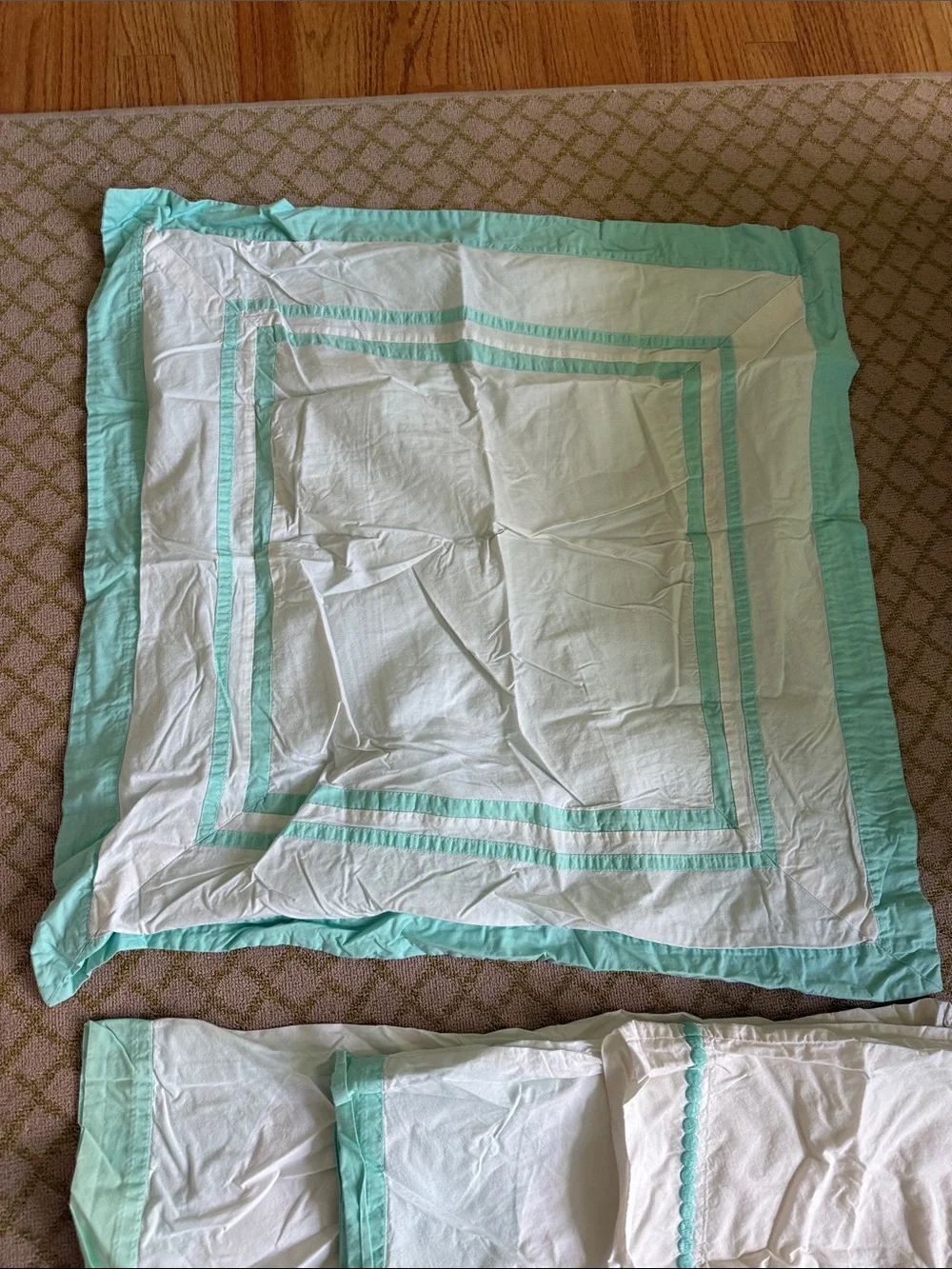 Pottery Barn Teen Twin Duvet Cover, Euro Shame, 3 Pillow Cases